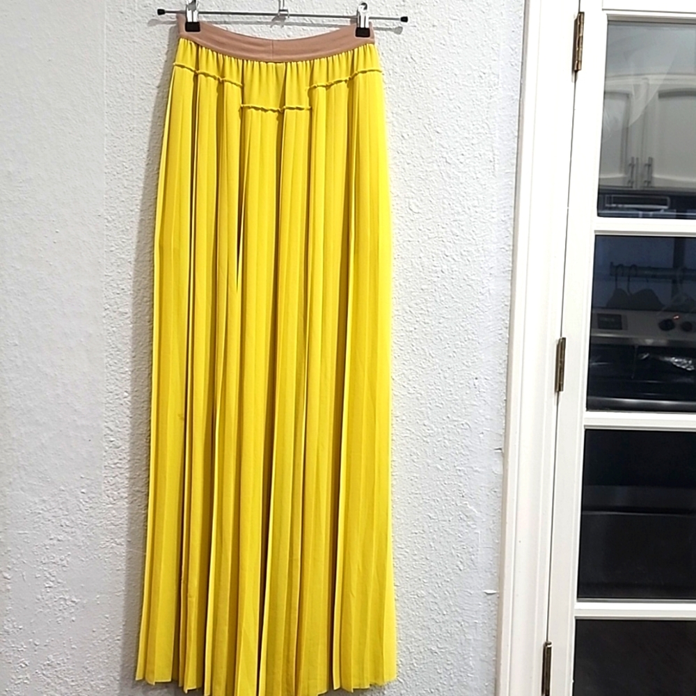 Bcbg Dillion maxi skirt.